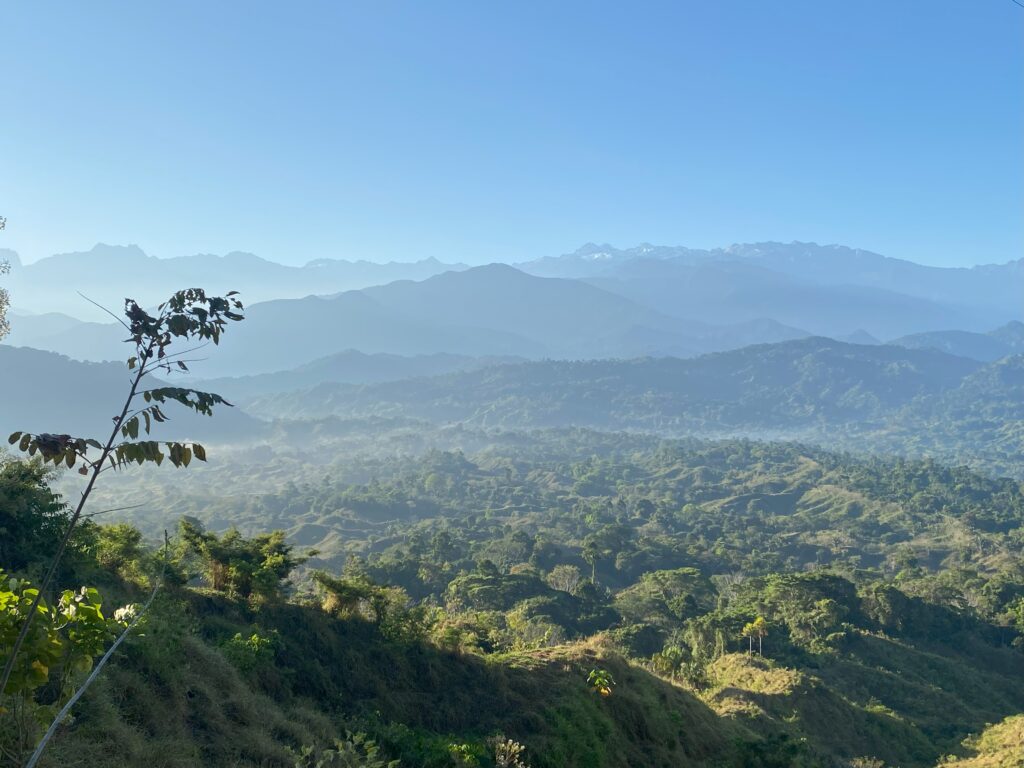 La Ponderosa Reserve 2