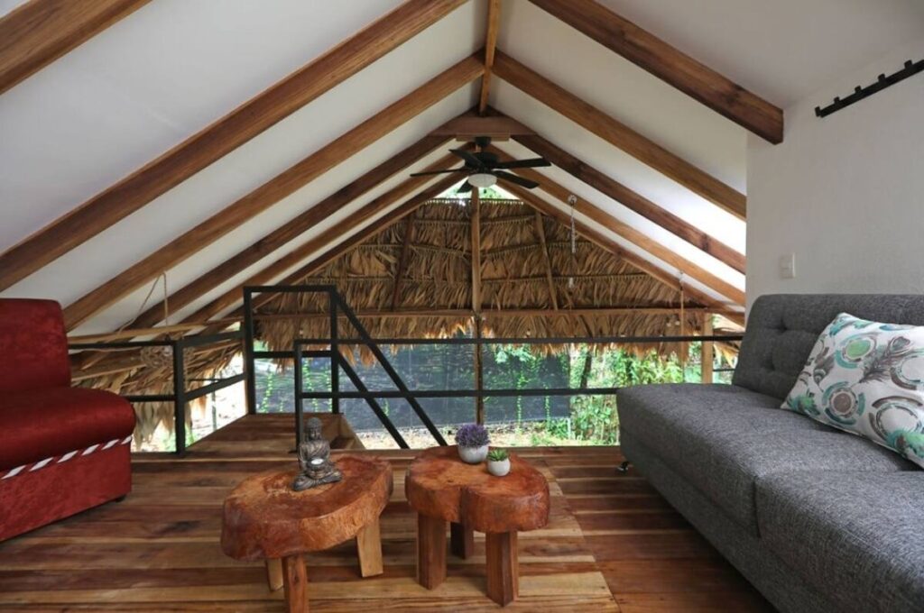 Evolution House 2