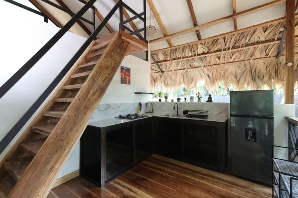Evolution House 3