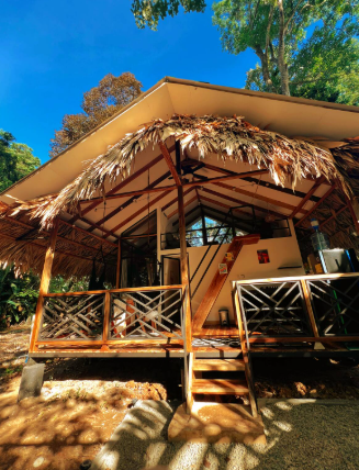 Evolution House