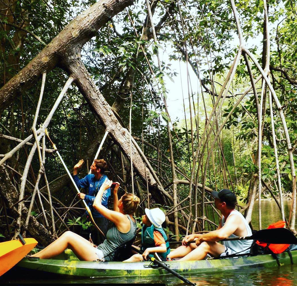 Mirra Retreats 3