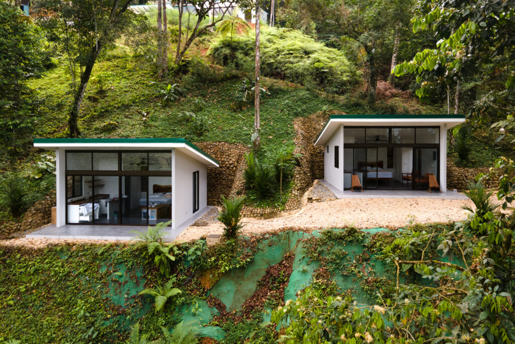 Pura Vida Wellbeing Retreats 3
