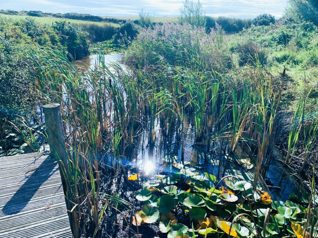 The Retreat Abersoch 7