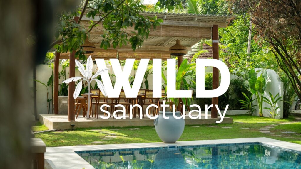 The WILD Sanctuary