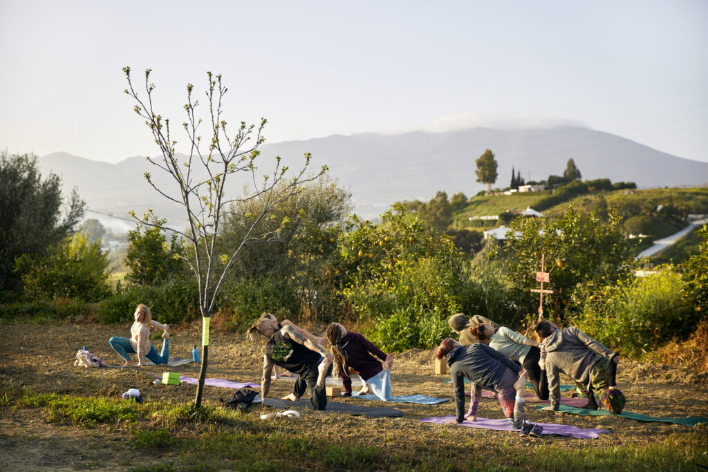 TrustGaia Retreats 2