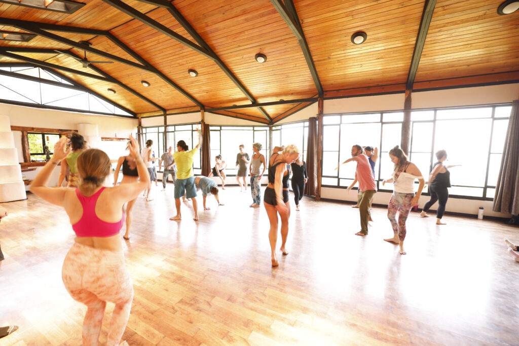 Holistic Playground 6