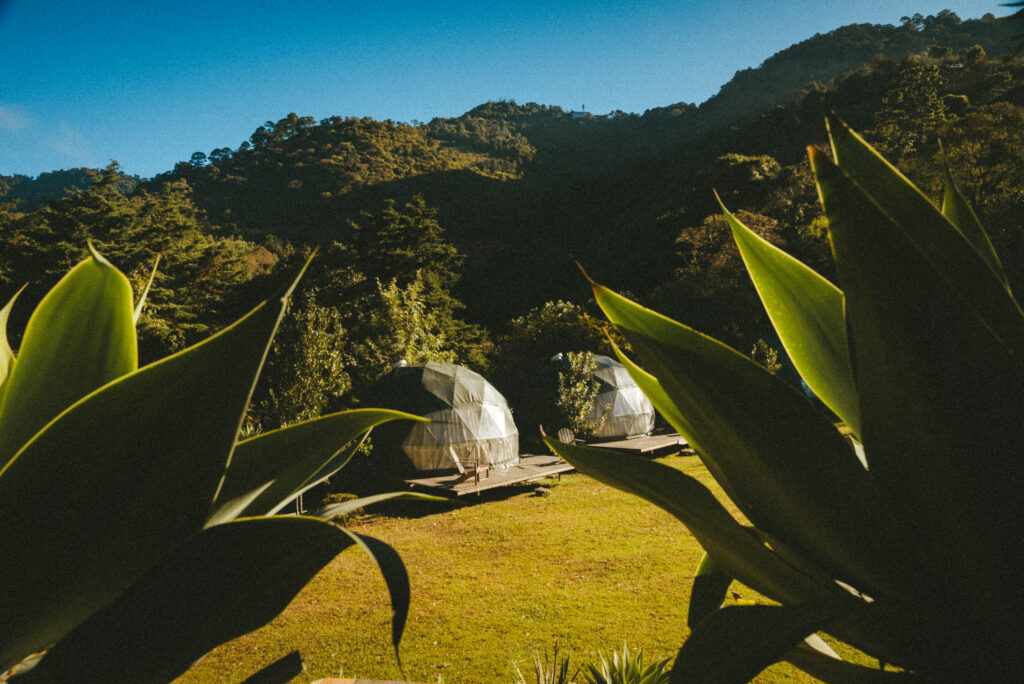 Holistic Playground 7