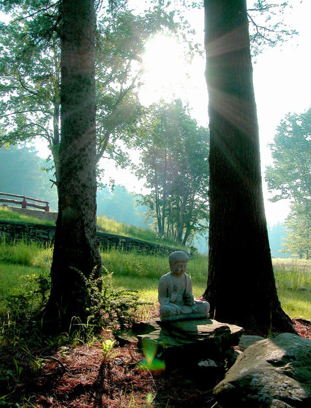 Ketamine, Summer Solstice Healing Retreat