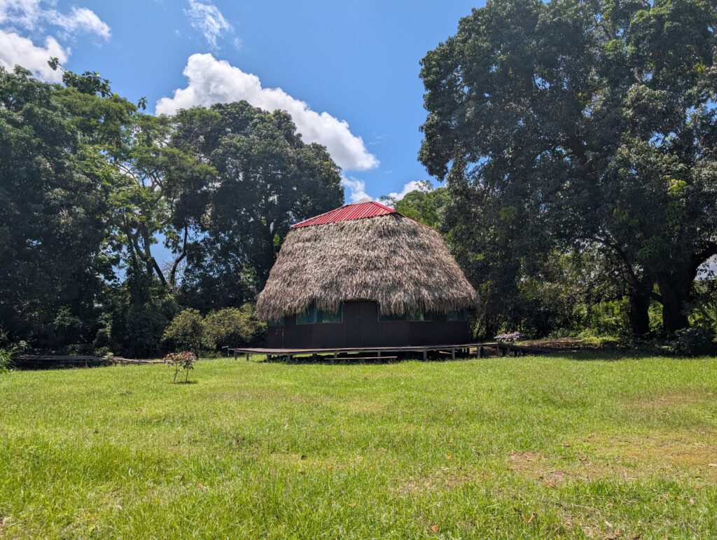 Tierravida Benxote 3