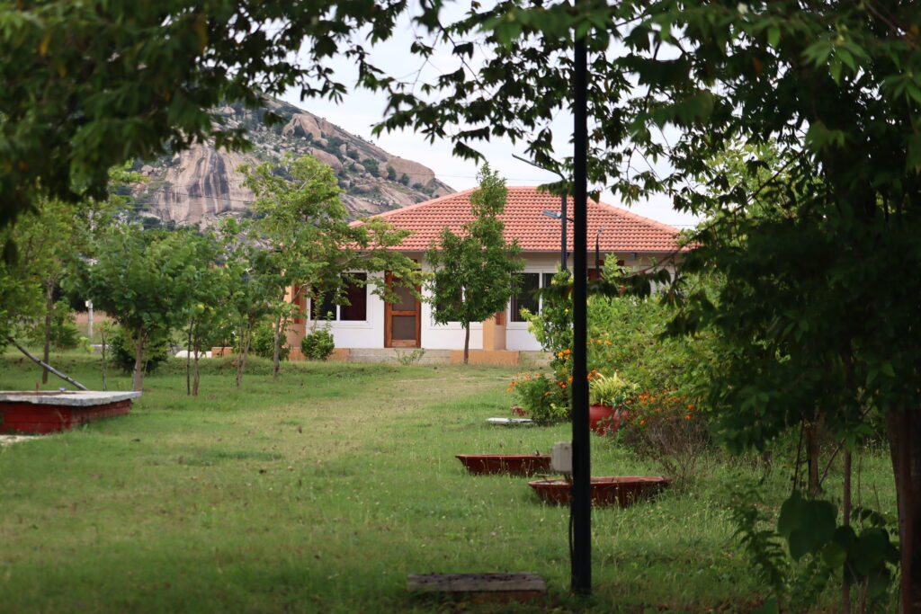The Sacred Grove and ArogyaM 3