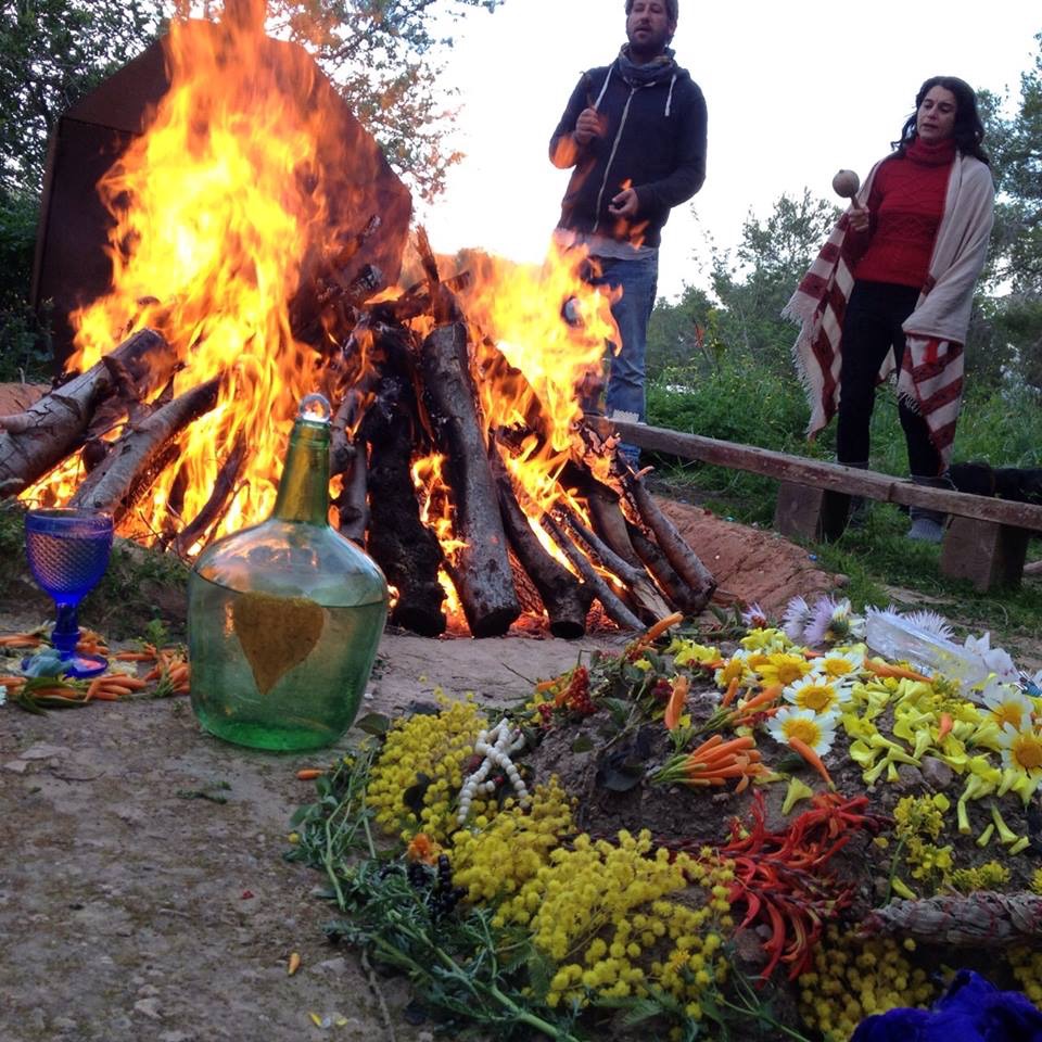 LilyPod Yoga & Ayurveda School 6