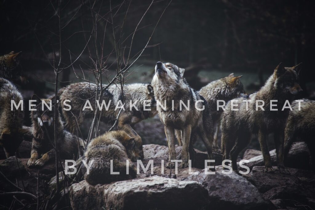 The Limitless Circle 2