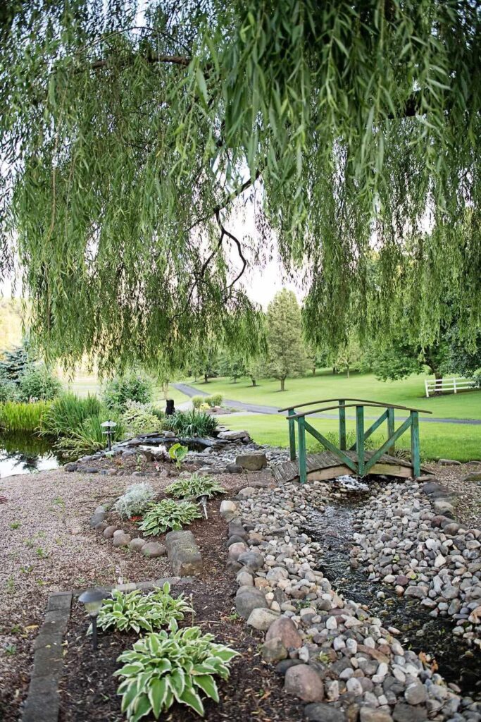 Berry Patch bed and Breakfast