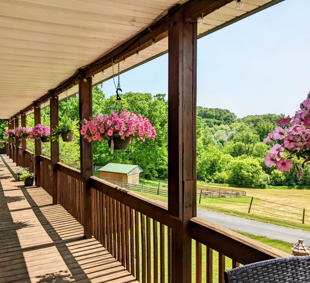 Berry Patch bed and Breakfast 3