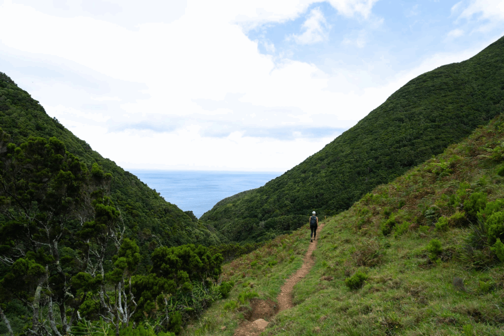 Wolf Path Retreats 6