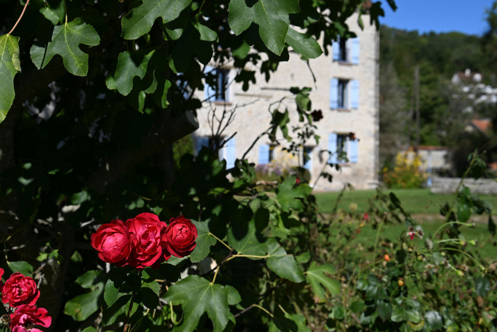 Creative Mill France 3