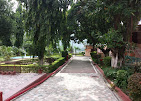 T'ai Chi and Wellness 7
