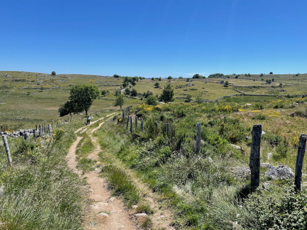 Walking Through Nature