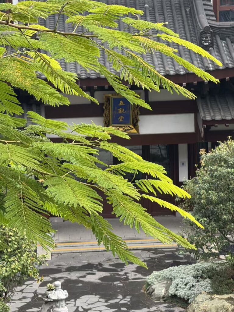 Blossom Ancient Temple 5