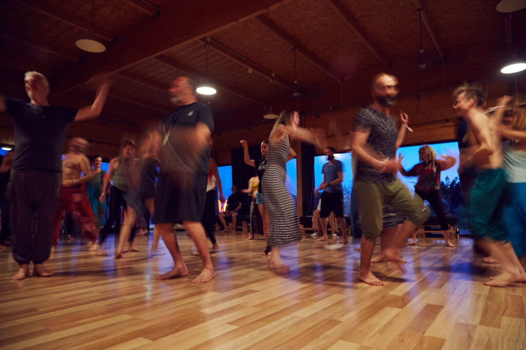 Dance The Medicine 6