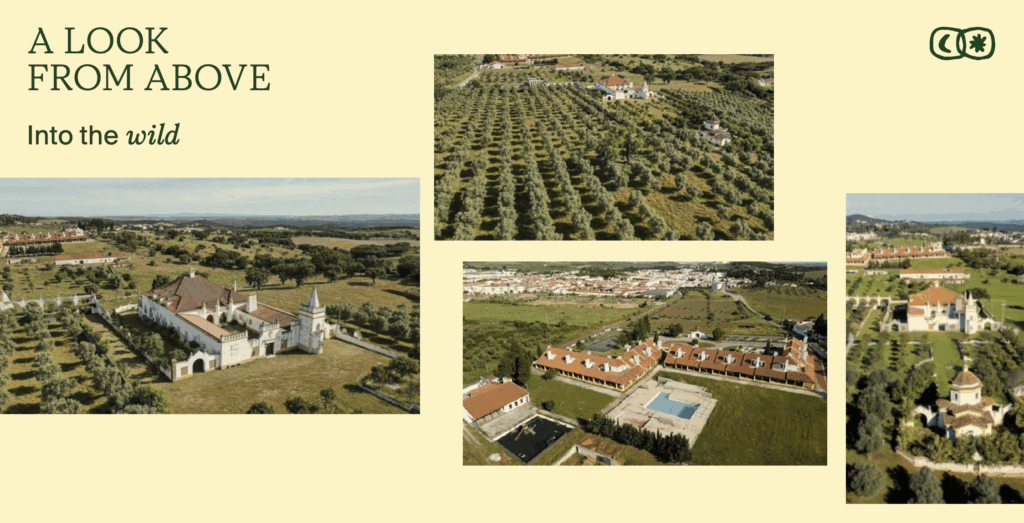 calipo 4