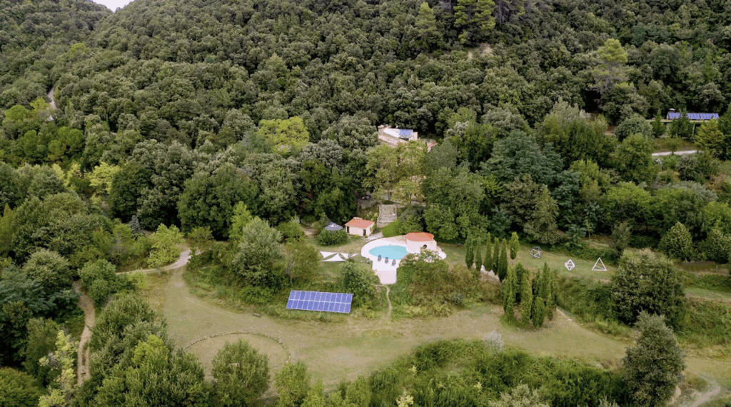 Living Shamanically LTD 3