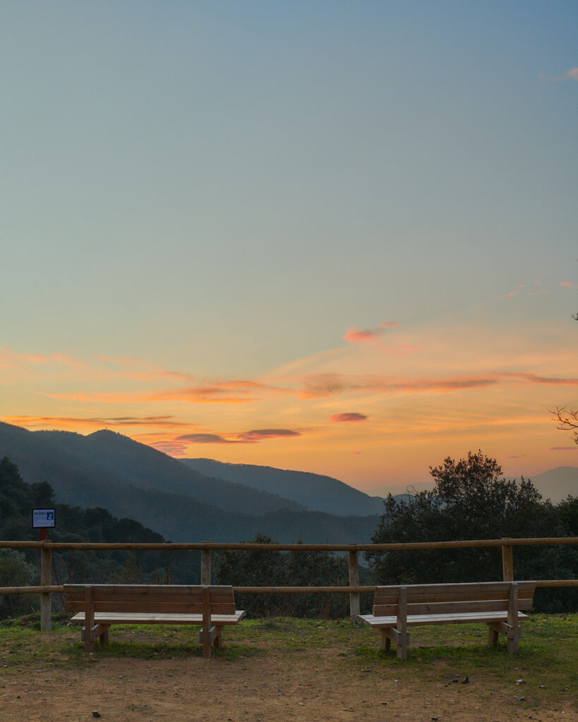 Mindfulness Taining Ltd. 4