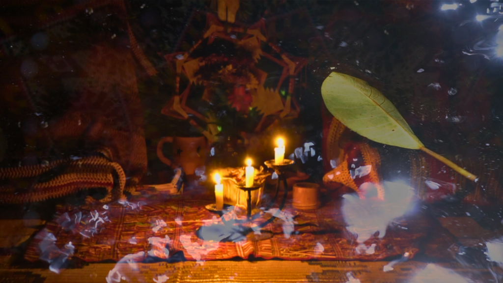 Quetzal 7