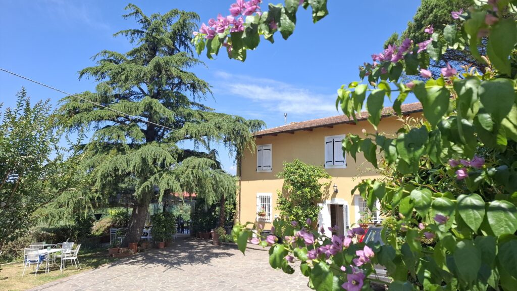 Aura Toscana 2